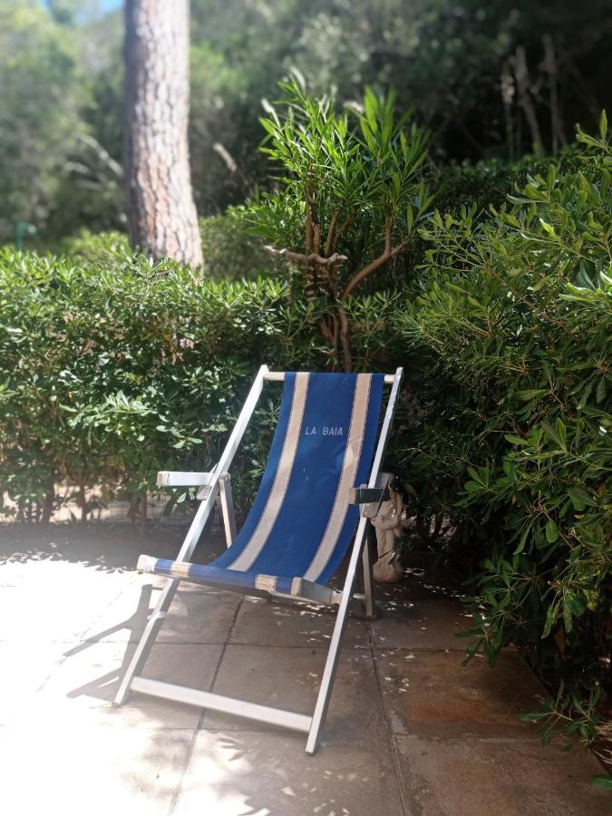 A Casa Di Ale Lejlighed Castiglione della Pescaia Eksteriør billede
